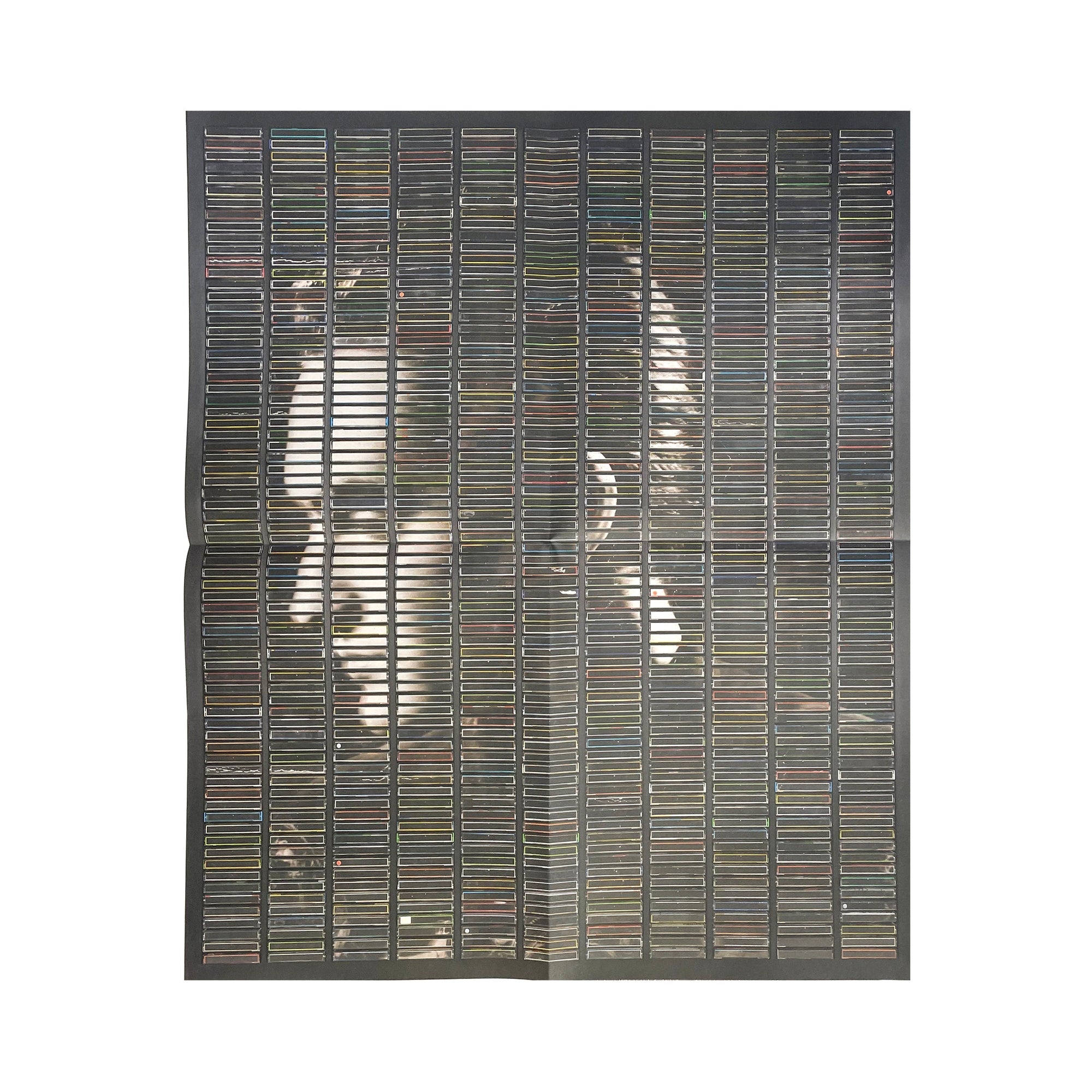 Gregor Hildebrandt - Poussière d’Or by Stephan Eicher (Ltd. Edition Vinyl)