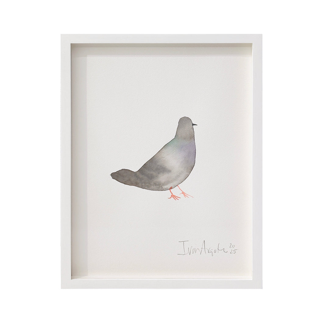 Iván Argote - Companion, 2025 (01)