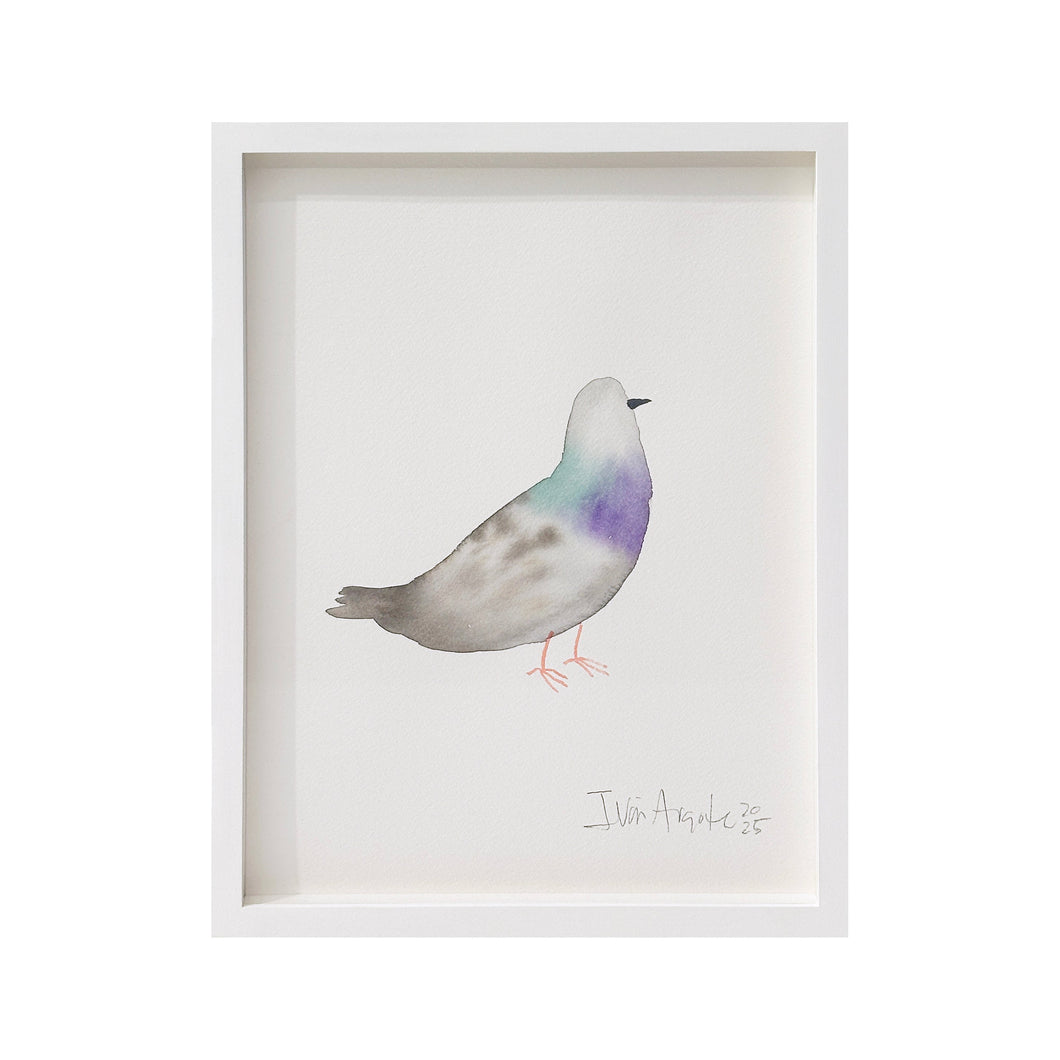 Iván Argote - Companion, 2025 (03)