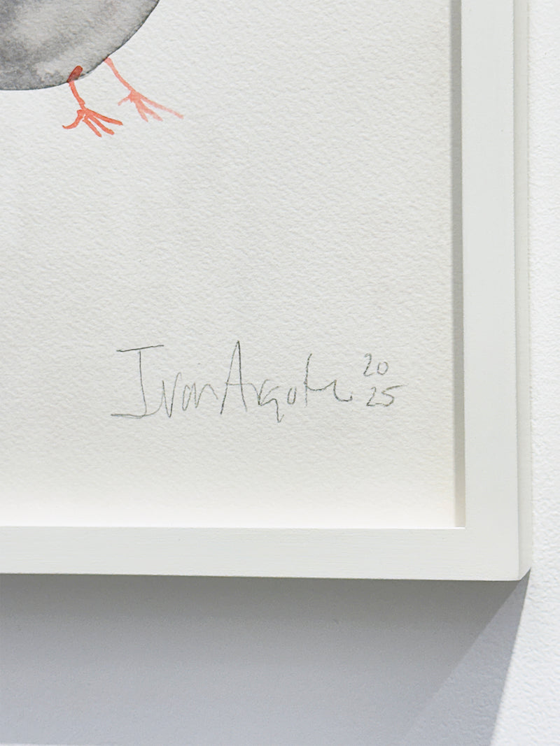 Iván Argote - Companion, 2025 (01)
