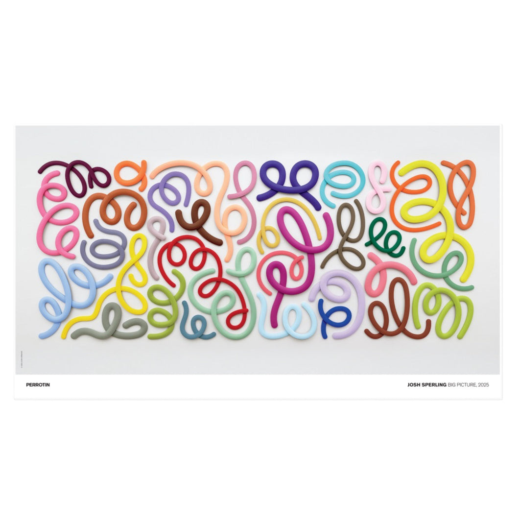 Josh Sperling - Big Picture, 2025 (Signed)