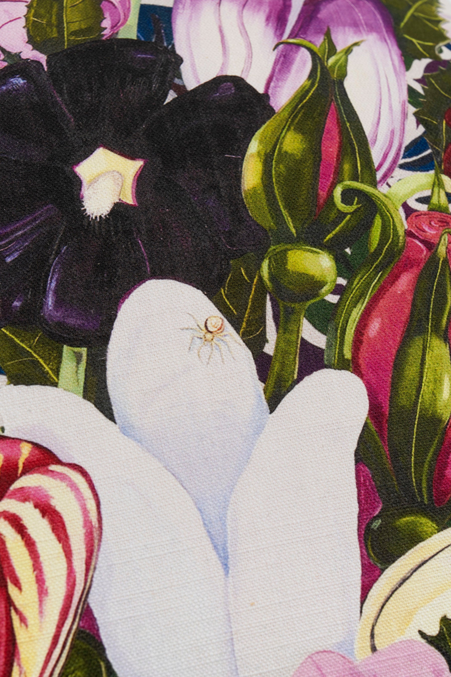 Nikki Maloof x Assieds Toii - Bloom