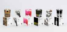 Load image into Gallery viewer, Perrotin x Jean-Marie Appriou - Fleurs de Rêve Candle
