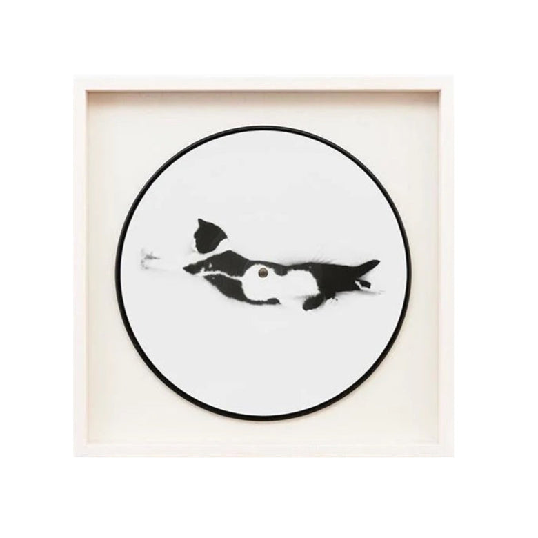 Sophie Calle - Souris Calle (Deluxe Edition Set)