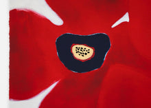 Load image into Gallery viewer, Susumu Kamijo - The Blossoms of the Sun

