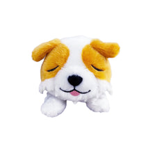 Load image into Gallery viewer, Takashi Murakami - Plush - Sleeping POM Doll
