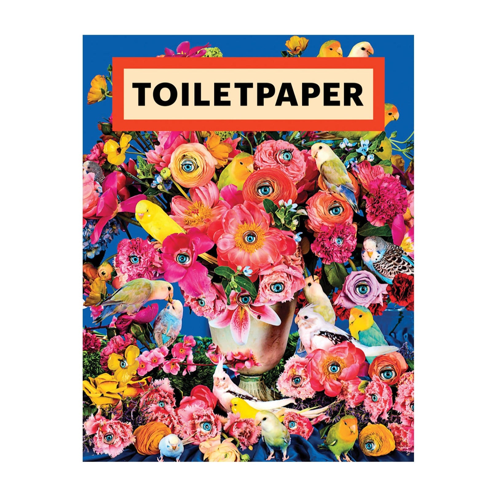 Toiletpaper (Maurizio Cattelan x Pierpaolo Ferrari) - Magazine (Multiple Issues)