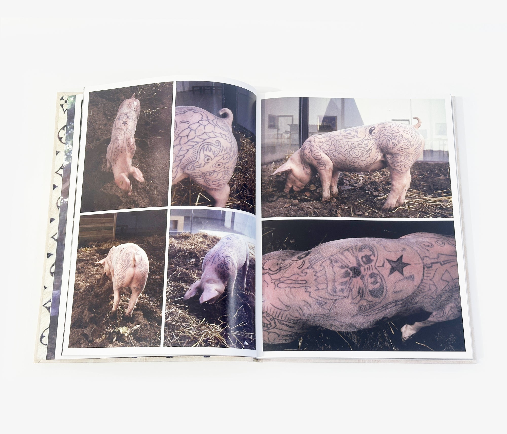 Wim Delvoye - Art Farming