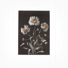 Load image into Gallery viewer, Laurent Grasso - Daisy (Available Framed)
