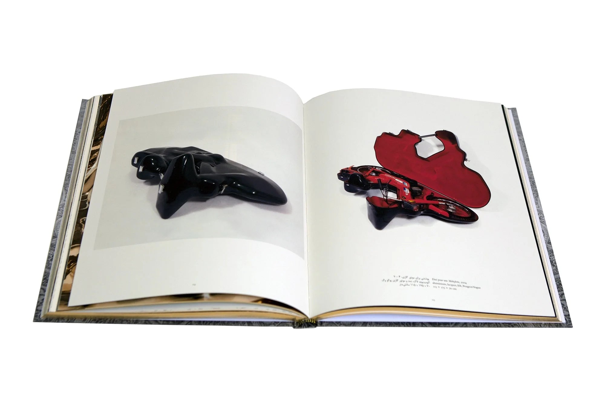 Wim Delvoye - Self Titled Monograph (Tehran Museum of Contemp. Art)