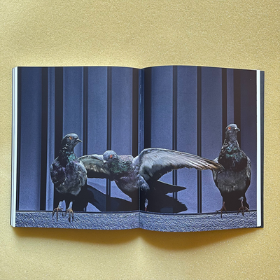 Maurizio Cattelan - Breath Ghosts Blind