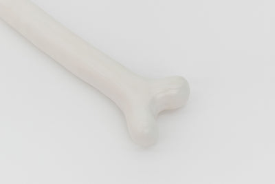 Gabriel Rico - Yardstick I (Bone), 2019