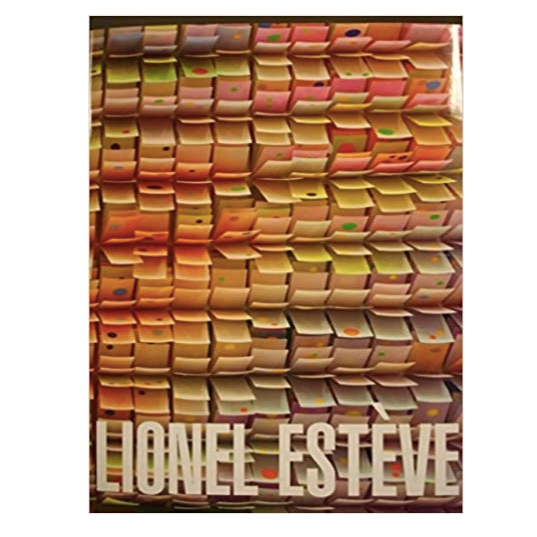 Lionel Esteve - Self Titled Perrotin Monograph