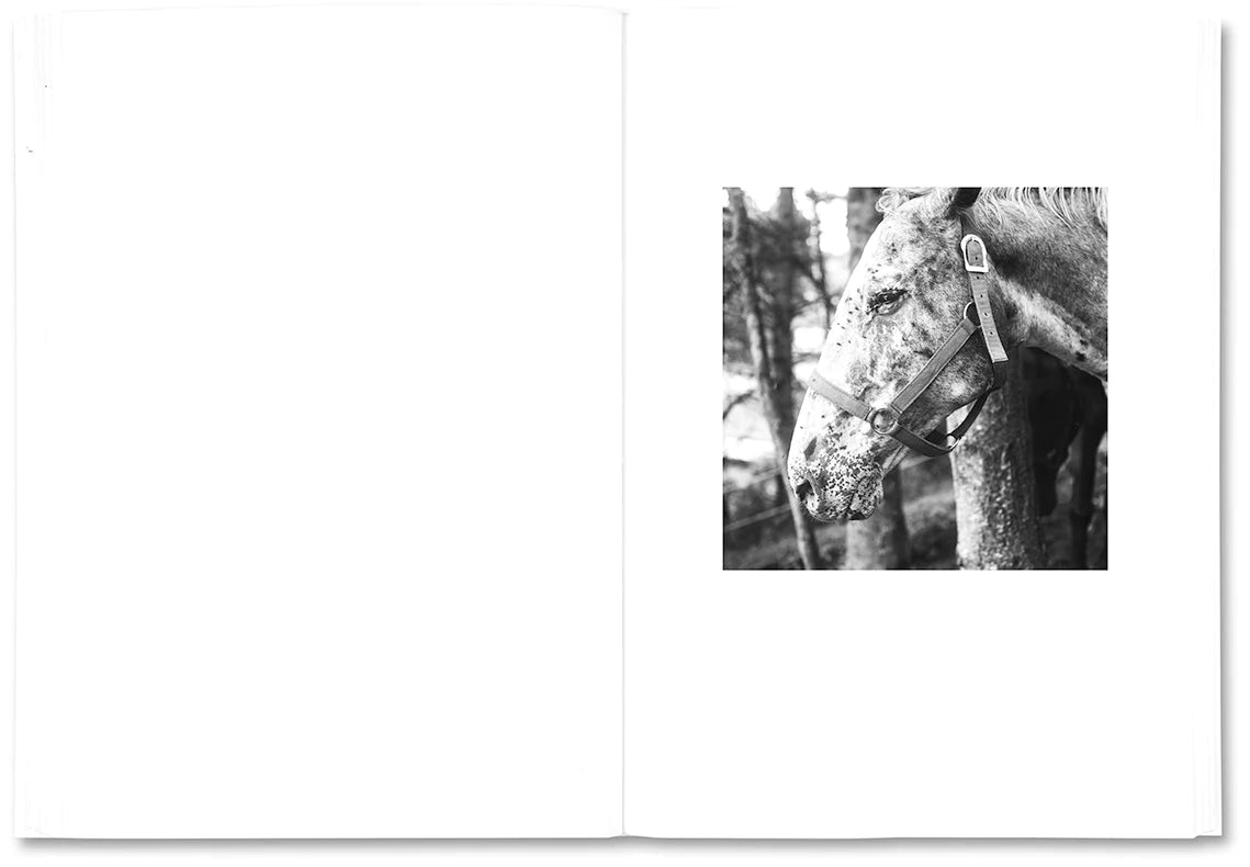Moyra Davey & Peter Hujar - The Shabbiness of Beauty