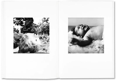 Moyra Davey & Peter Hujar - The Shabbiness of Beauty