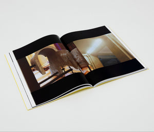 Carnegie International, 57th Edition: The Dispatch