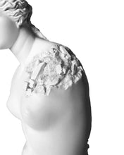 Load image into Gallery viewer, Daniel Arsham - Eroded Venus de Milo
