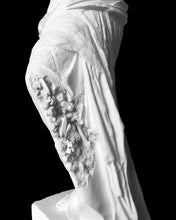 Load image into Gallery viewer, Daniel Arsham - Eroded Venus de Milo
