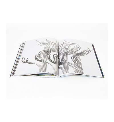 Julio Le Parc - Bifurcations