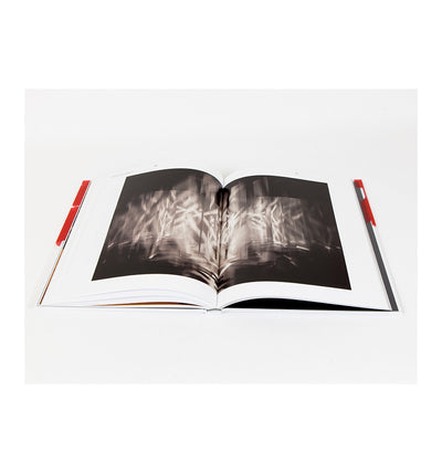 Julio Le Parc - Form into Action