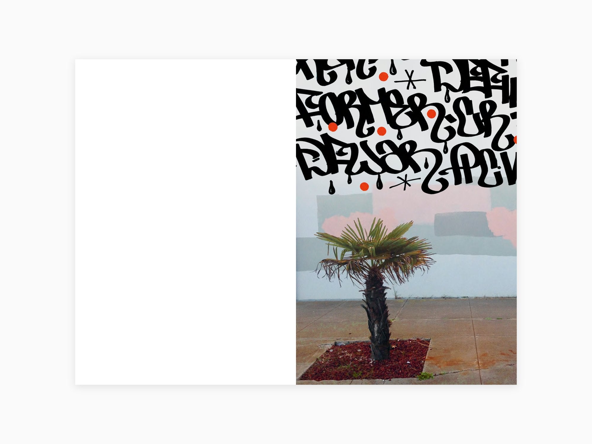 Barry McGee バリーマッギー 原画 D.F.W. zine