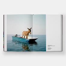 Load image into Gallery viewer, Paola Pivi - Self Titled Monograph edited by Justine Ludwig
