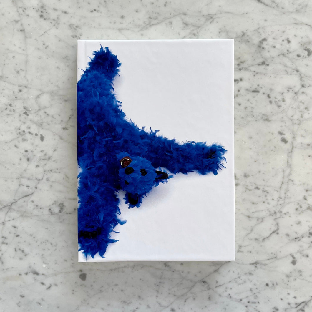 Paola Pivi - Baby Bear Journal (Blue)
